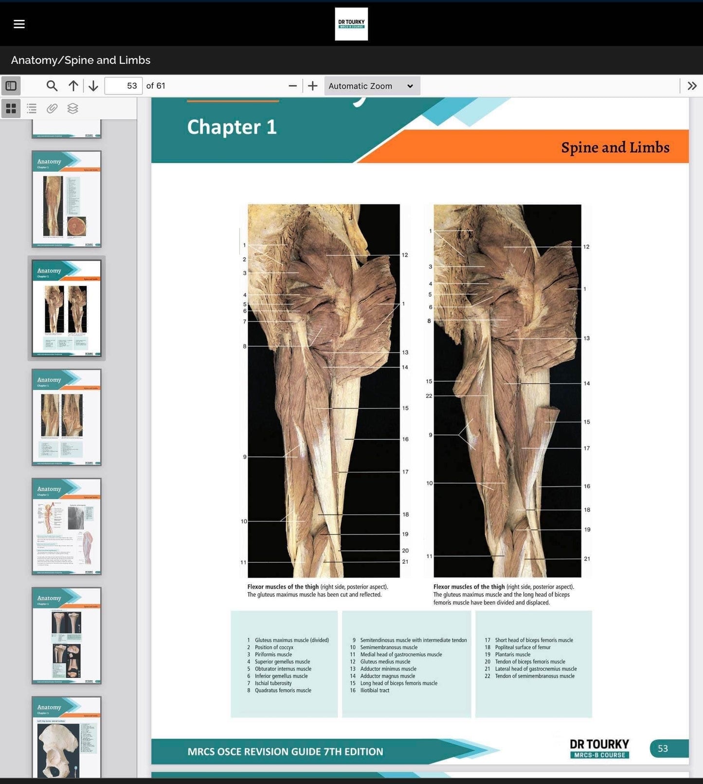 Dr Tourky MRCS-B Course (regular course /October to December 2025 diets)- candidates inside Egypt only